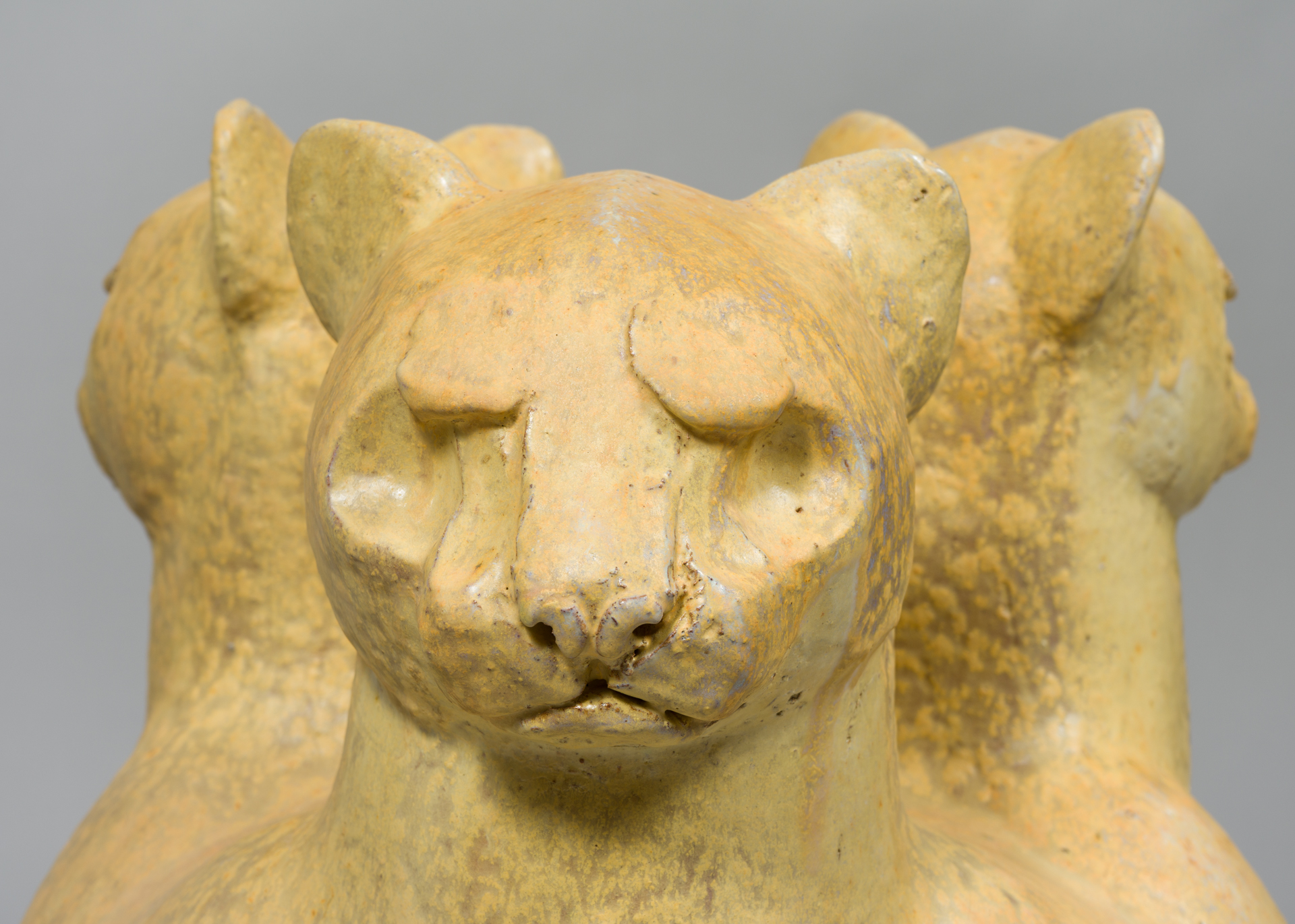 Égida (jaguarundí)