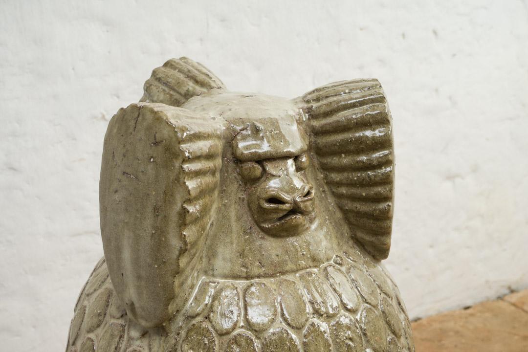 Égida (tití)